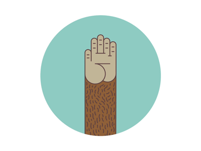 mailchimp-high5
